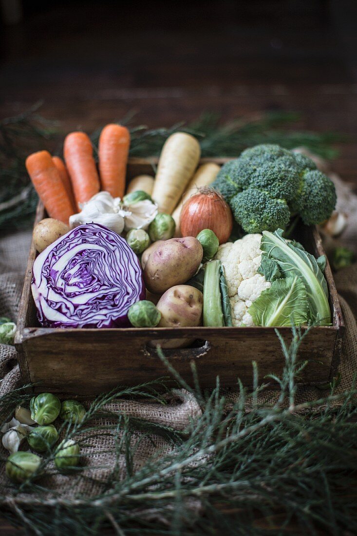 Gemüsekiste mit Rotkohl, Kartoffeln, Rosenkohl, Karotten, Pastinaken, Brokkoli, Blumenkohl und Zwiebeln