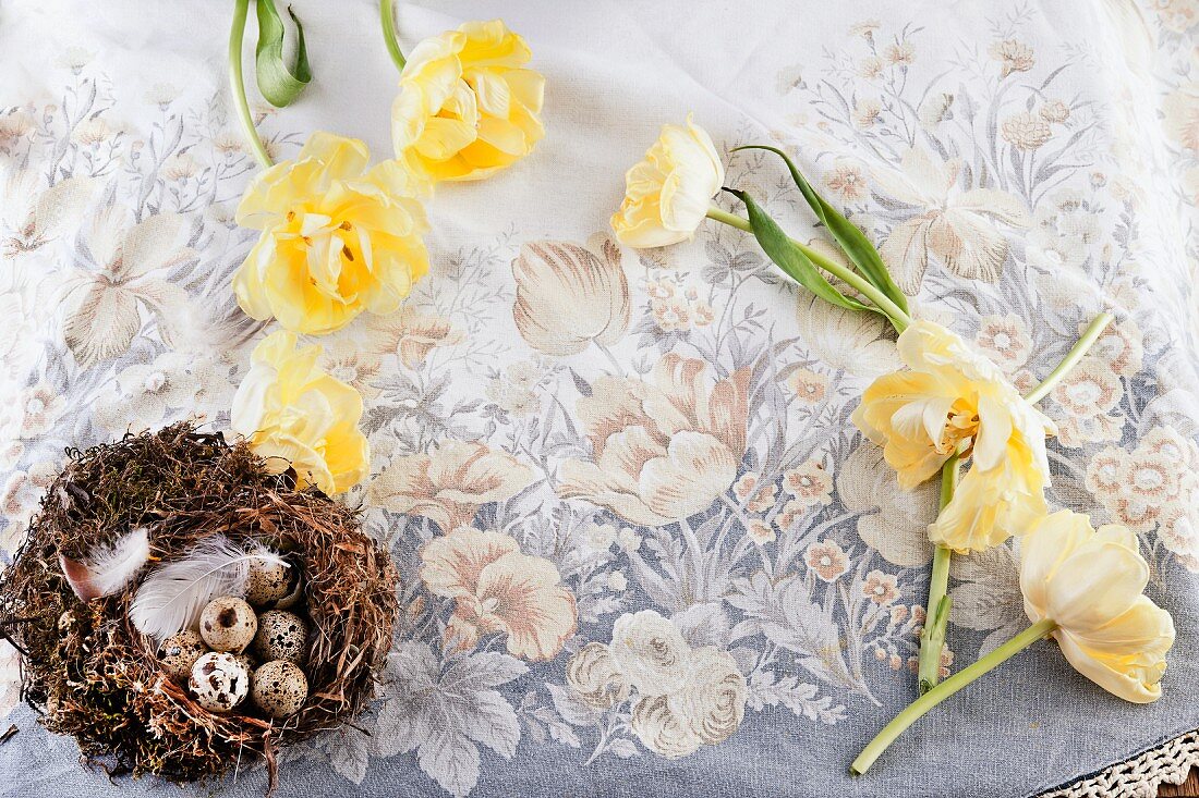 Gelbe Tulpen mit Vogelnest auf Leinentischdecke