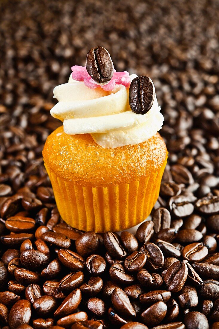 A mini vanilla cupcake on coffee beans