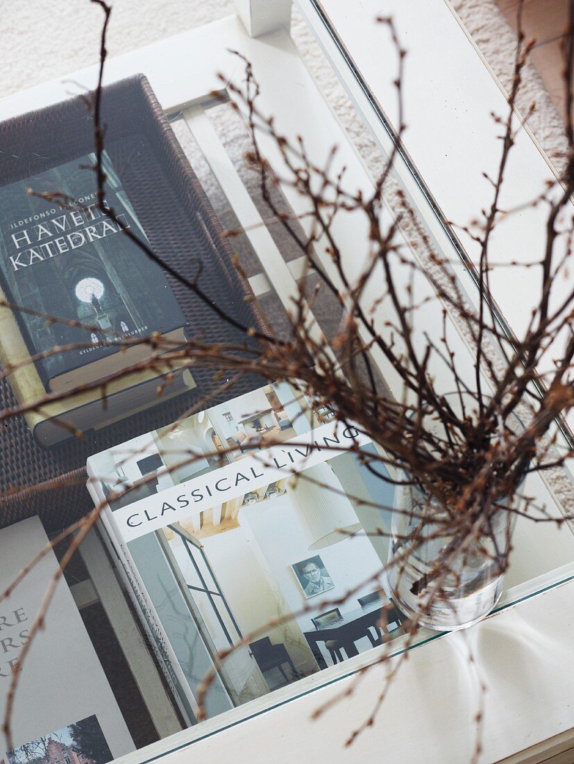 Vase of branches on glass table with books below surface