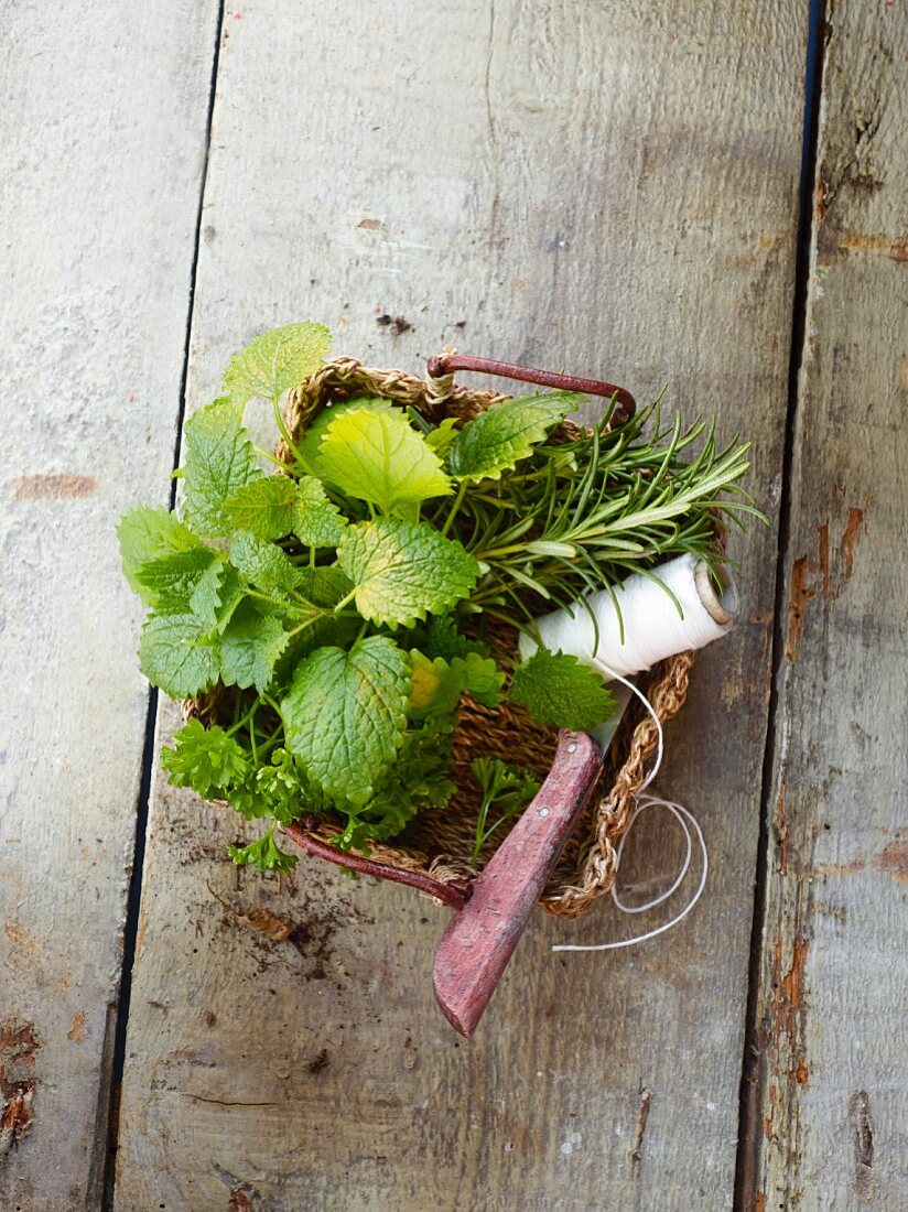 Fresh herbs with kitchen twine and a knife in a basket