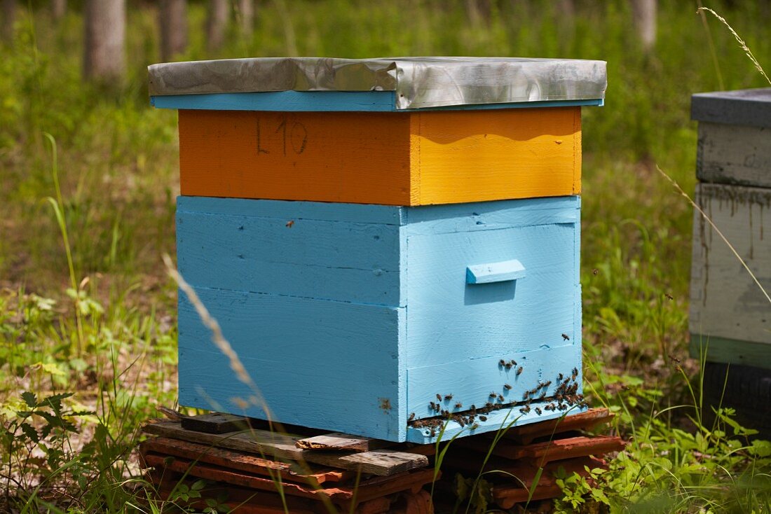 An old beehive in France