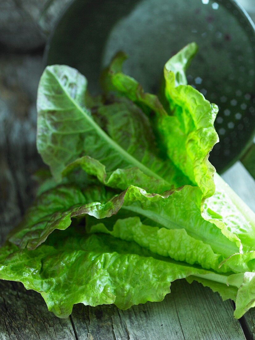 A lettuce with a colander in the background