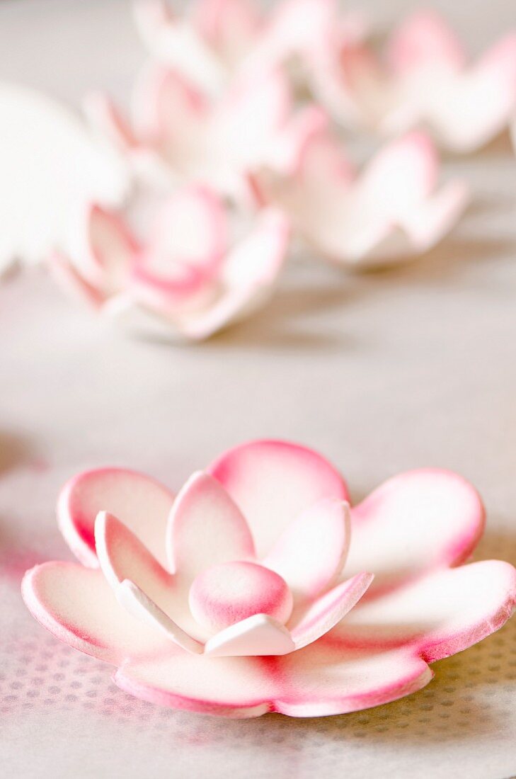 Handgemachte Zuckerblüten