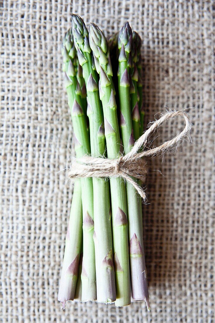 A bunch of green Cornish asparagus tied with string on jute