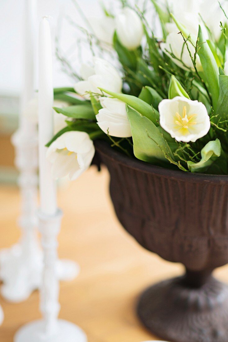 White tulips in urn