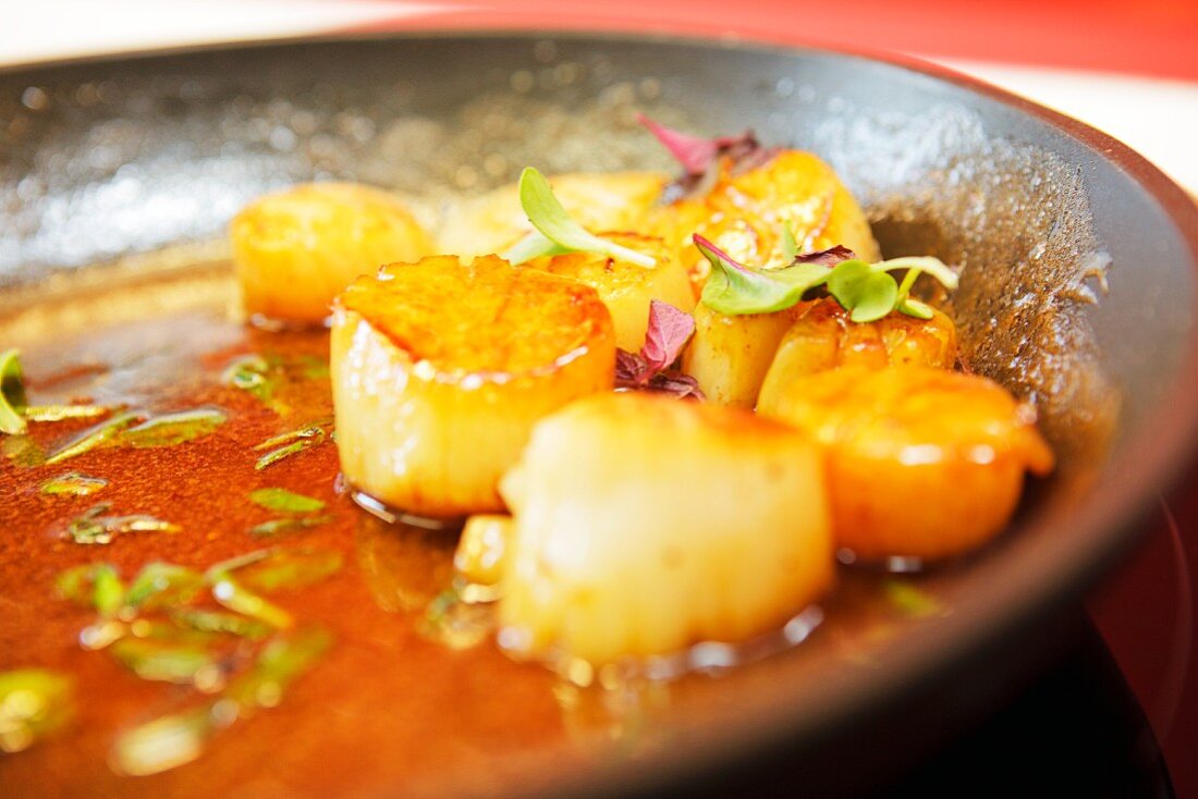 Caramelised scallops with field thyme, red shiso cress and sorrel in a pan