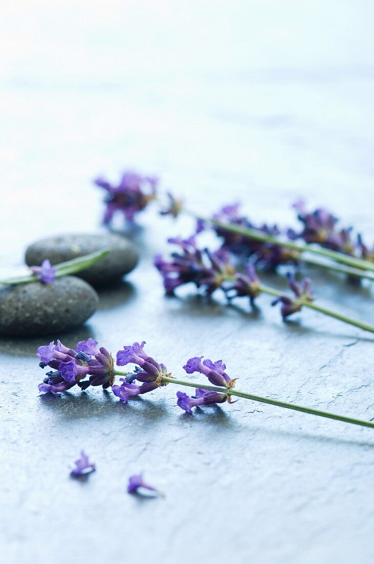 Lavendelblüten auf Steinuntergrund