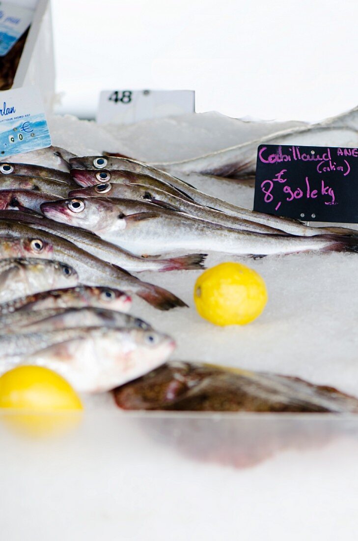 Kabeljau auf einem Fischmarkt