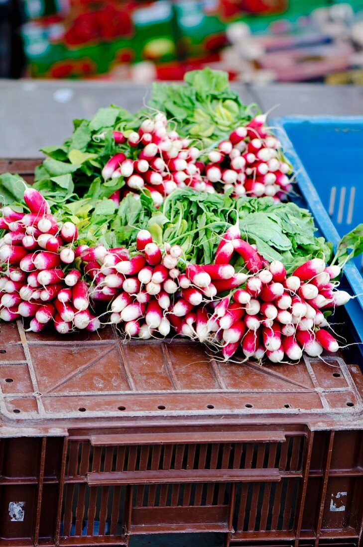 Bunches of radishes on a crate at a market
