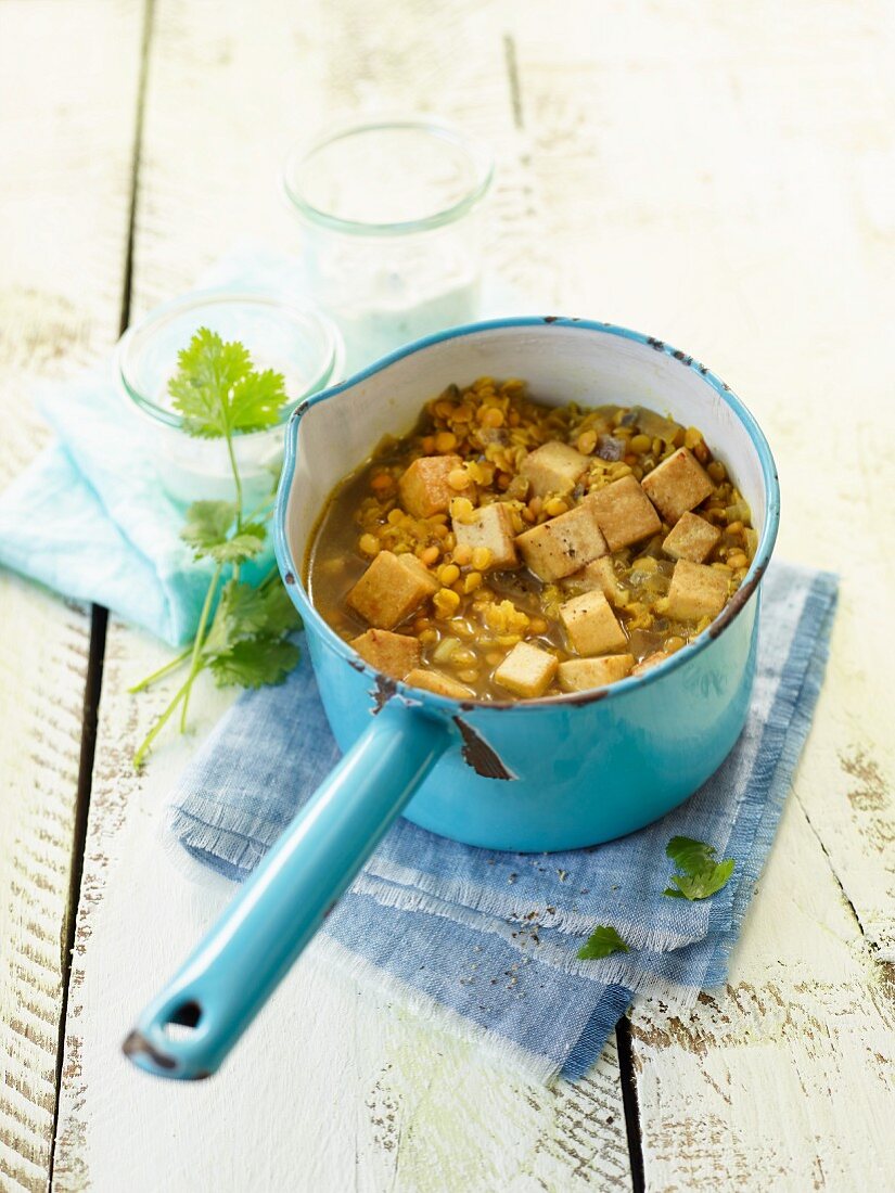 Vegetarian lentil and tofu stew
