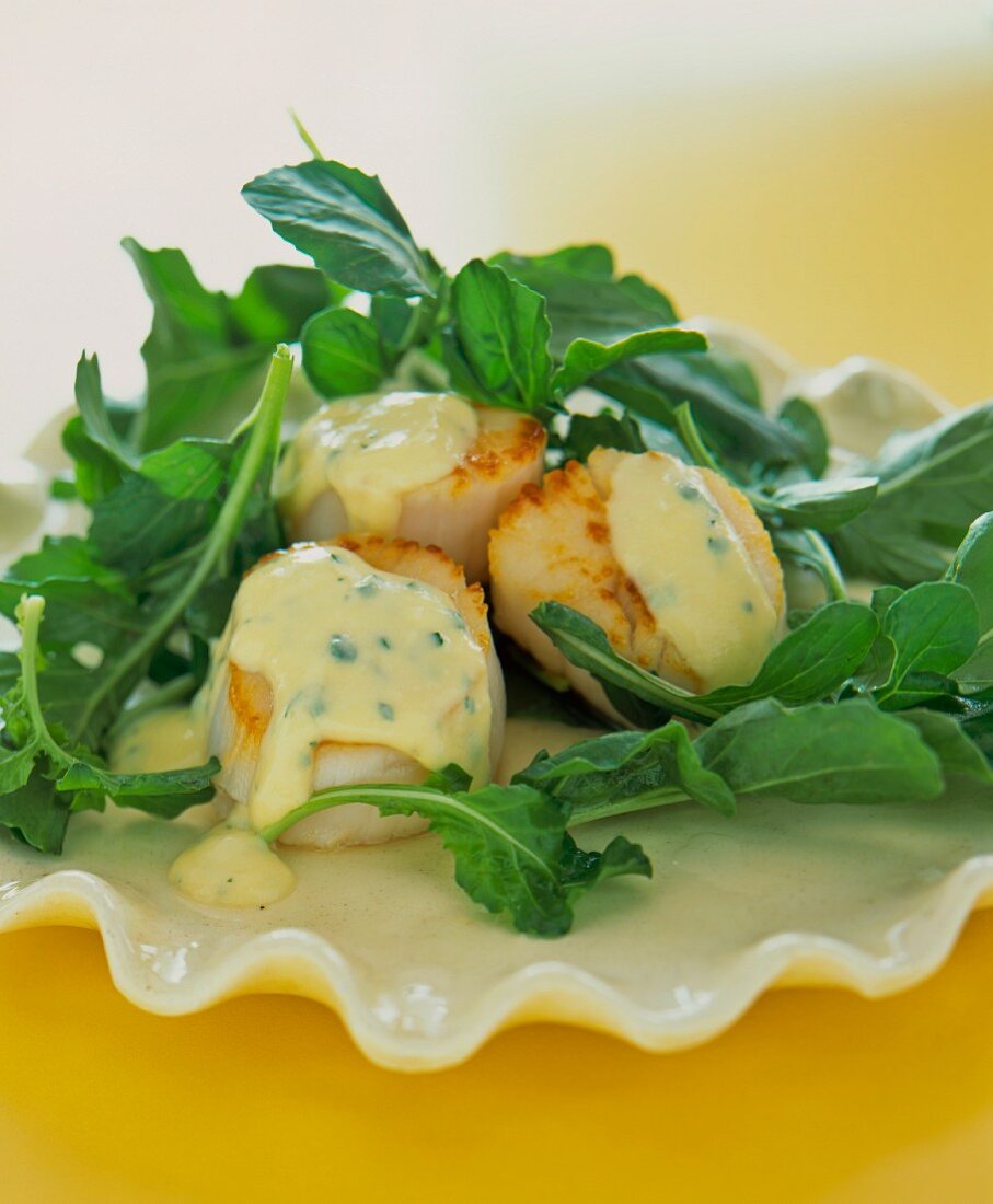 Scallops with chive sauce