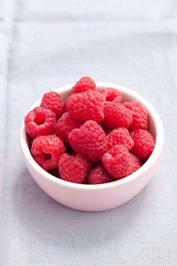 Frische Himbeeren