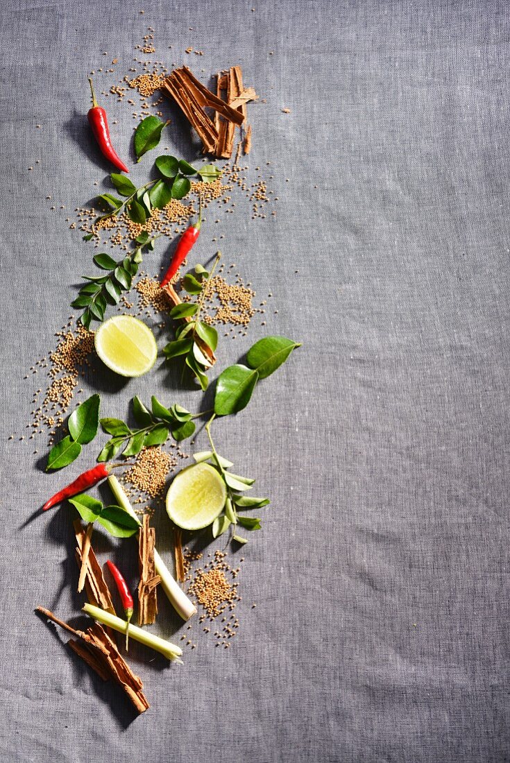 An arrangement of Oriental herbs and spices