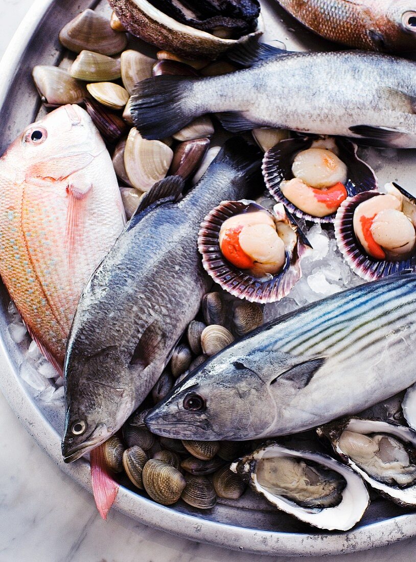 An arrangement of fish and seafood