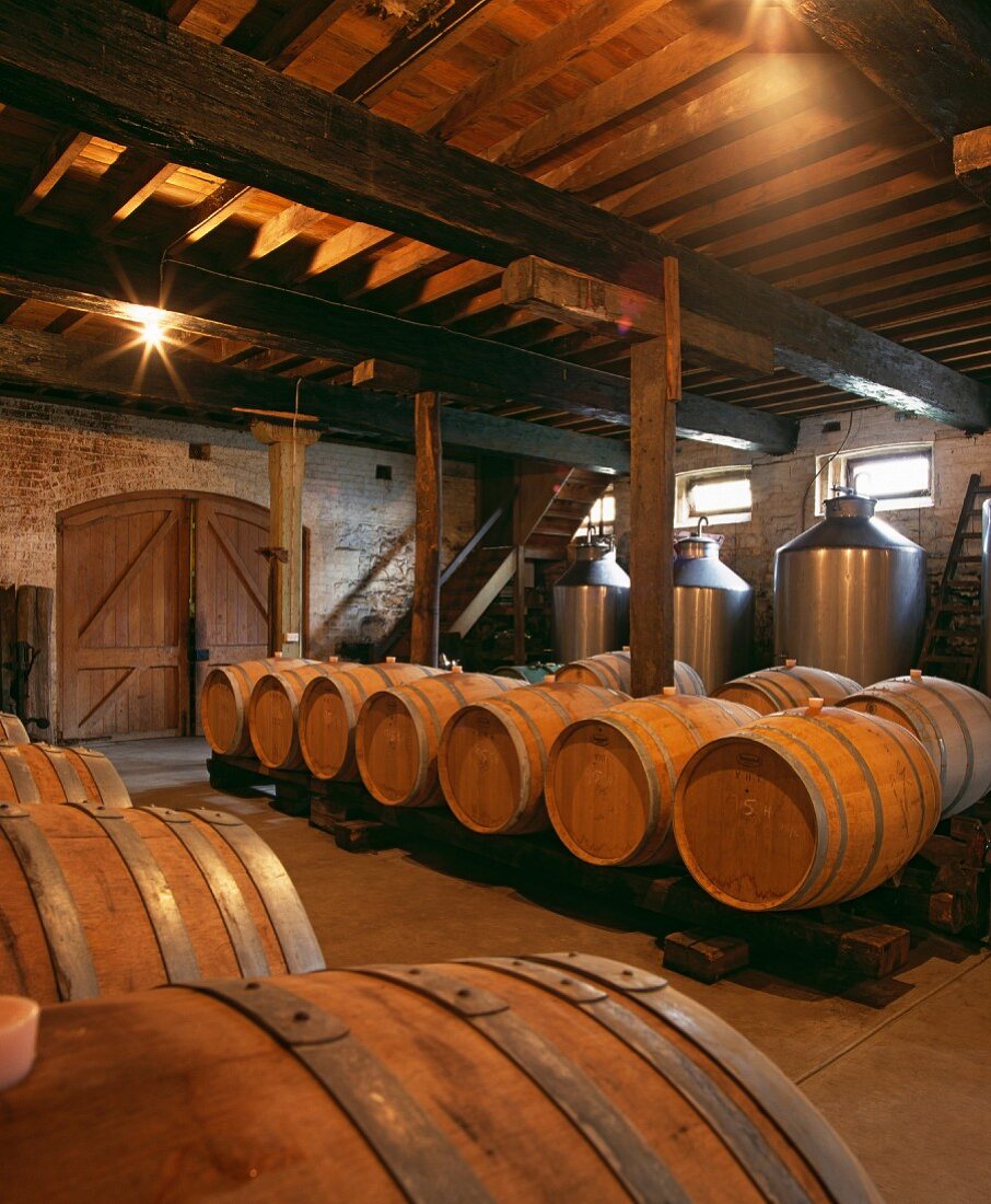 Gelagerte Fässer in historischem Weinkeller