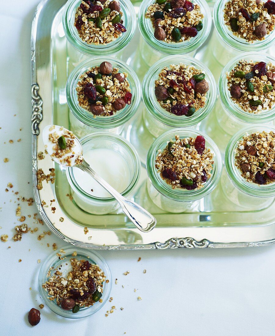 Joghurt mit Müsli