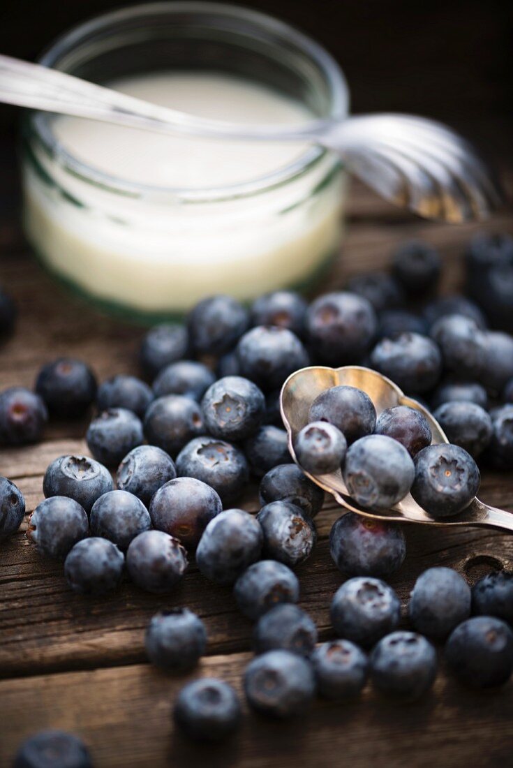 Blueberries in front of a bowl of yogurt