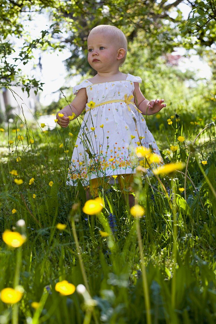 A toddler standing amongst wildflowers
