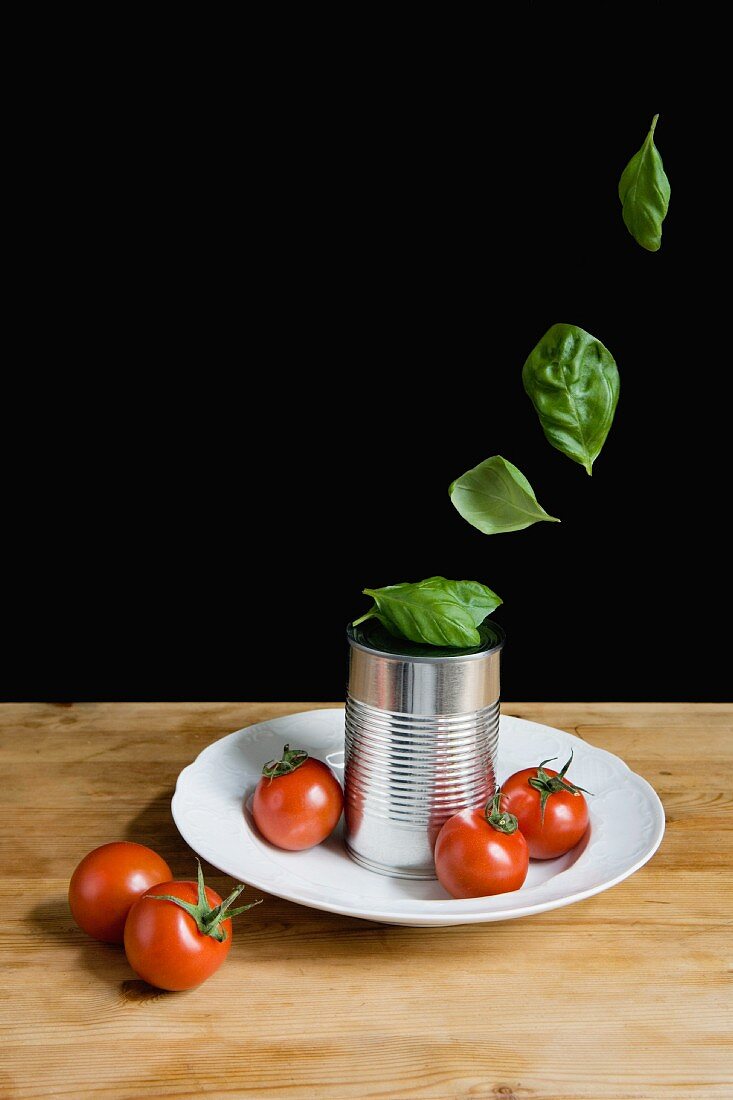 Basilikumblätter schweben über einer Aludose auf Teller mit Tomaten
