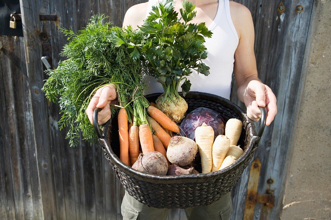 Mann hält Korb mit frisch geerntetem Gemüse