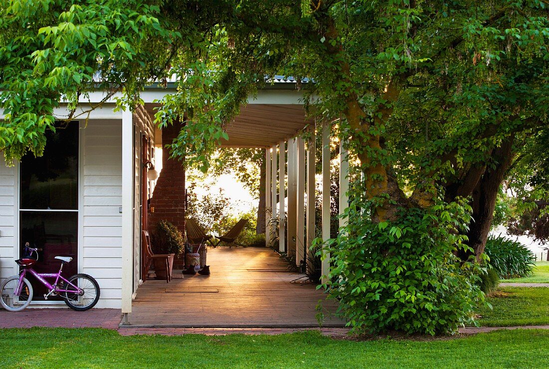 Sunlight on roofed veranda of Canadian country house with lawn and deciduous tree