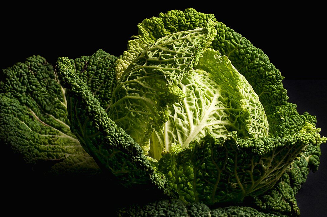 Savoy Cabbage on a black surface