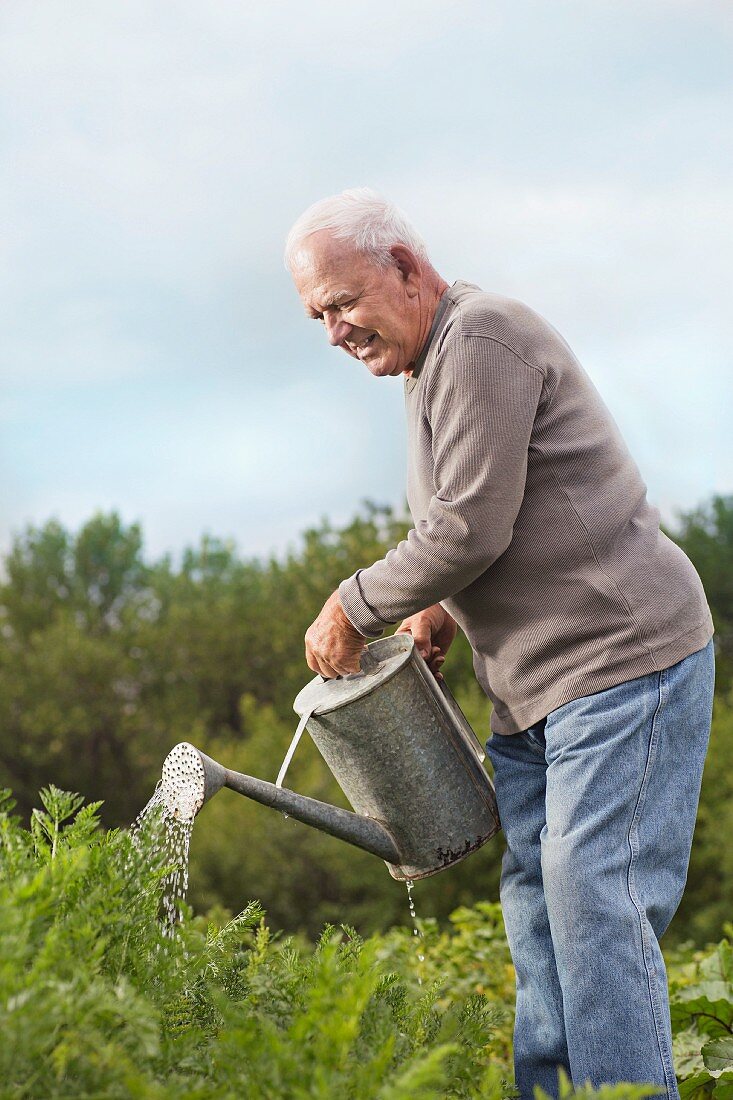 An older man watering plants in his garden