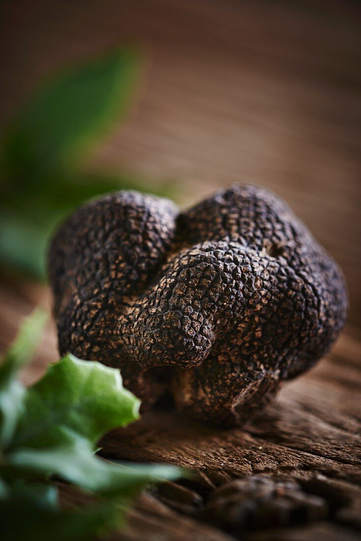 A black truffle