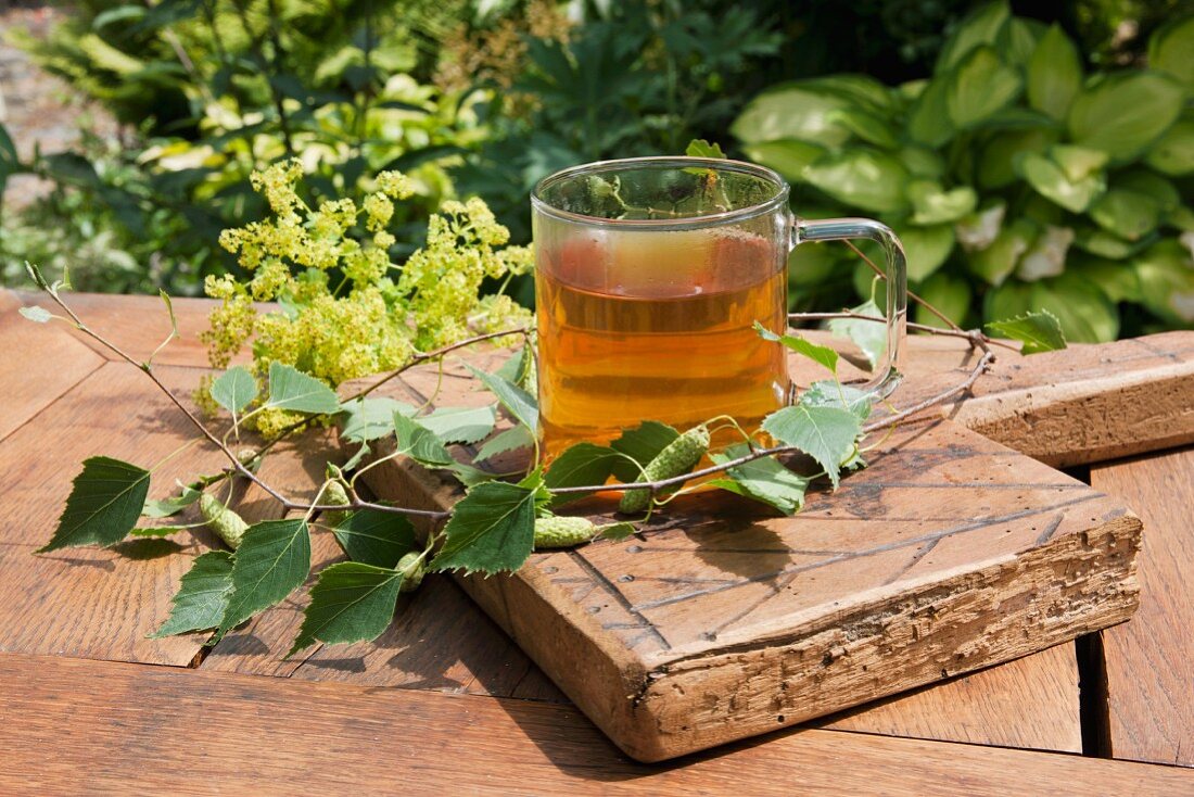 Birch leaf tea
