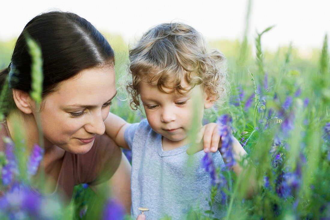 Frau und kleiner Junge in einem Sommerfeld