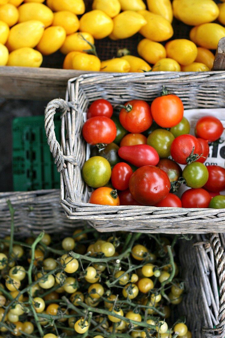 Various types of tomatoes at a market