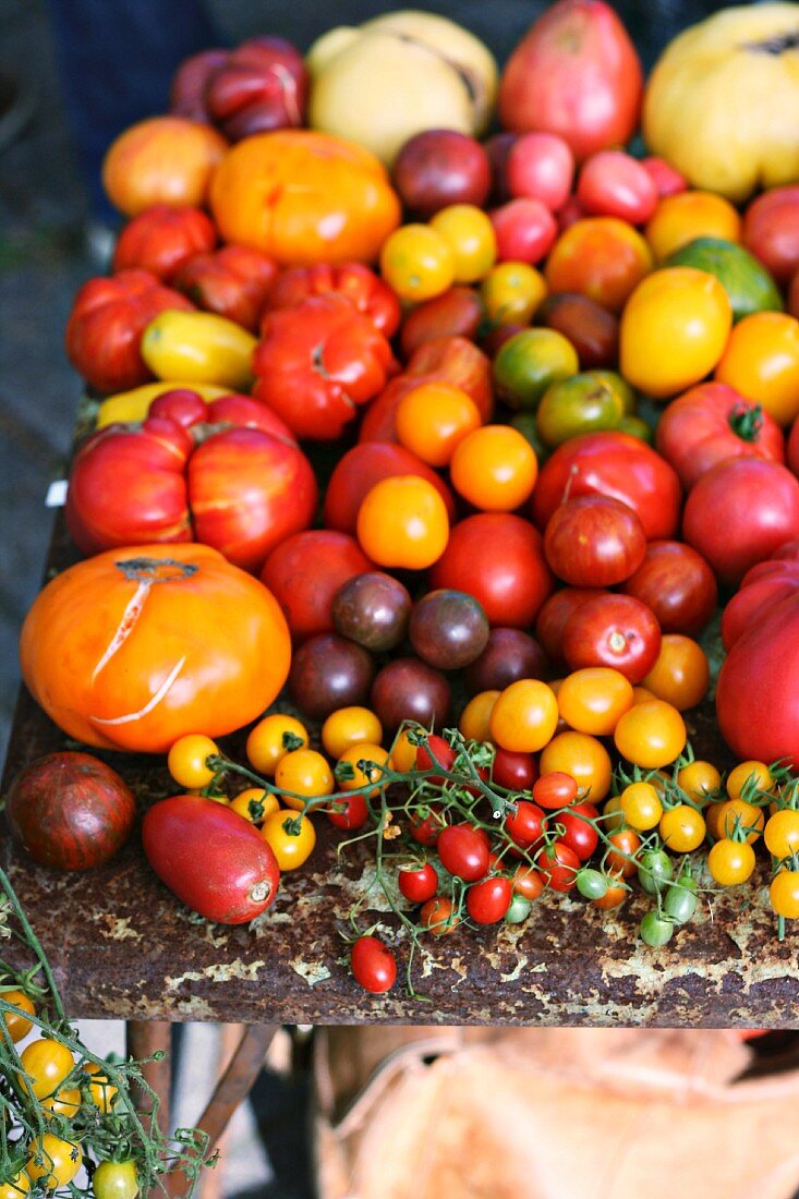 Various tomatoes on a market stand