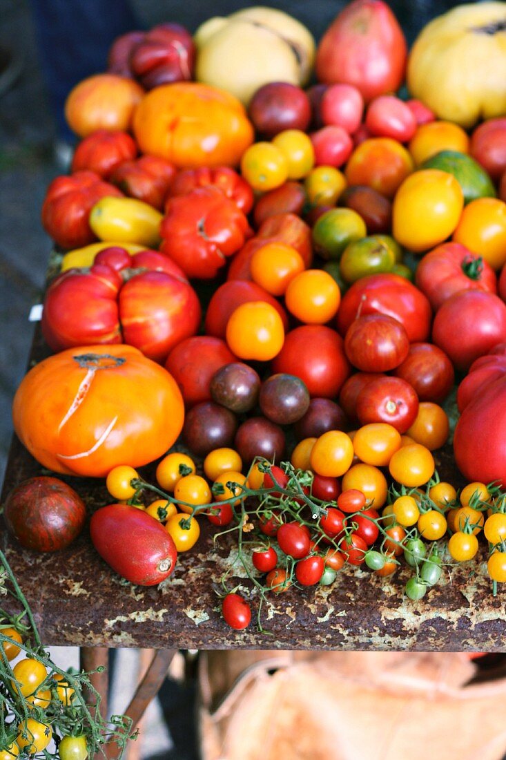 Verschiedene Tomatensorten auf dem Markt