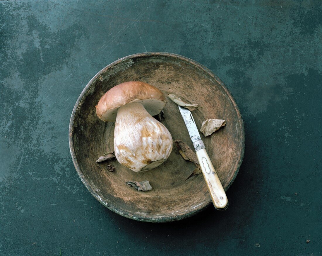 Freshly picked porcini mushroom and knife in dish (top view)