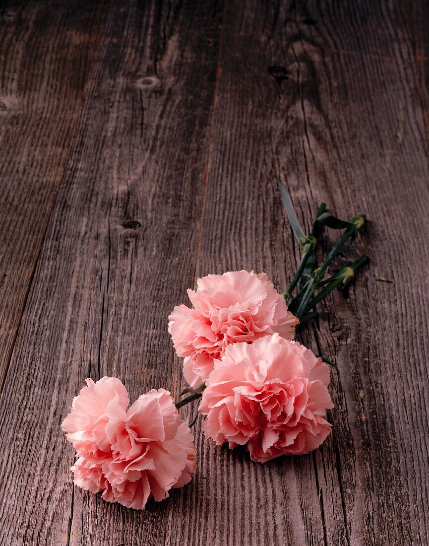 Three pink carnations on wooden surface