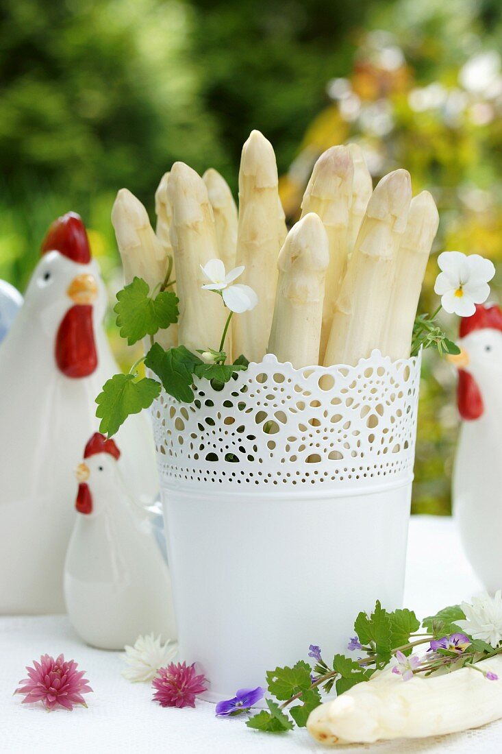 Weisser Spargel im Blumentopf auf Ostertisch im Garten