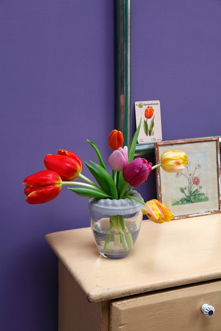 Tulips in various colours in glass vase with circular, hand-crafted concrete rim on cabinet against purple wall