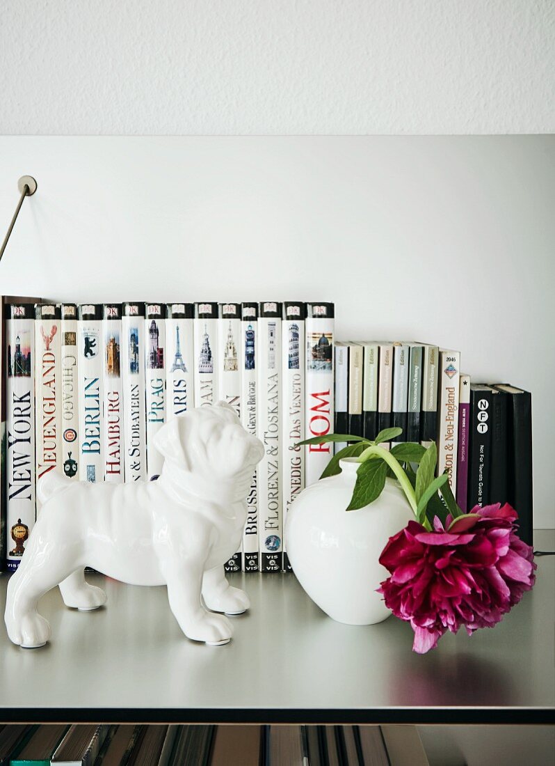 White china dog next to deep pink peony in vase in front of collection of books on stainless steel surface