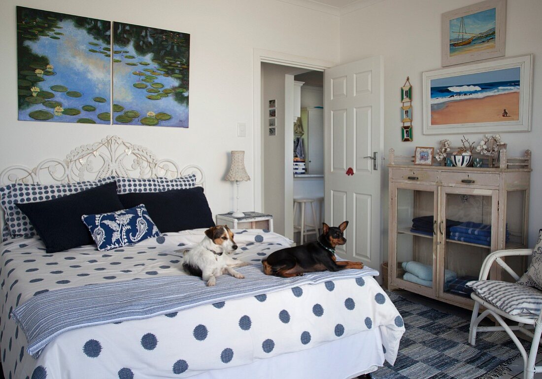 Dog on blue and white bed cover in rustic, maritime bedroom