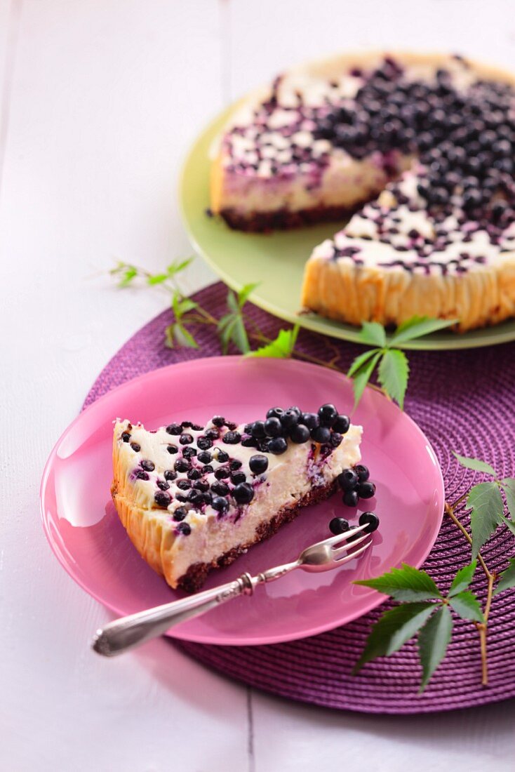 Käsekuchen mit Heidelbeeren und weisser Schokolade