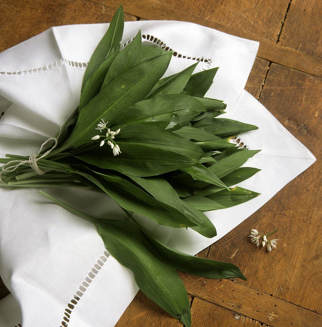 A bunch of flowering ramsons (wild garlic)