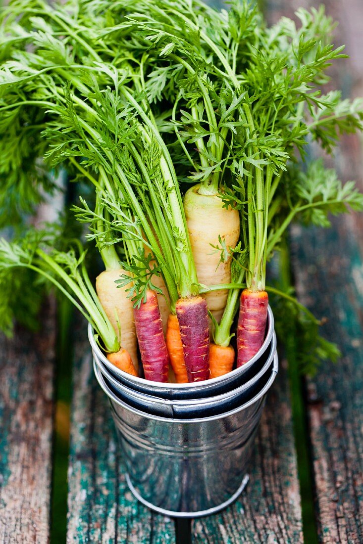 Various carrots in a bucket