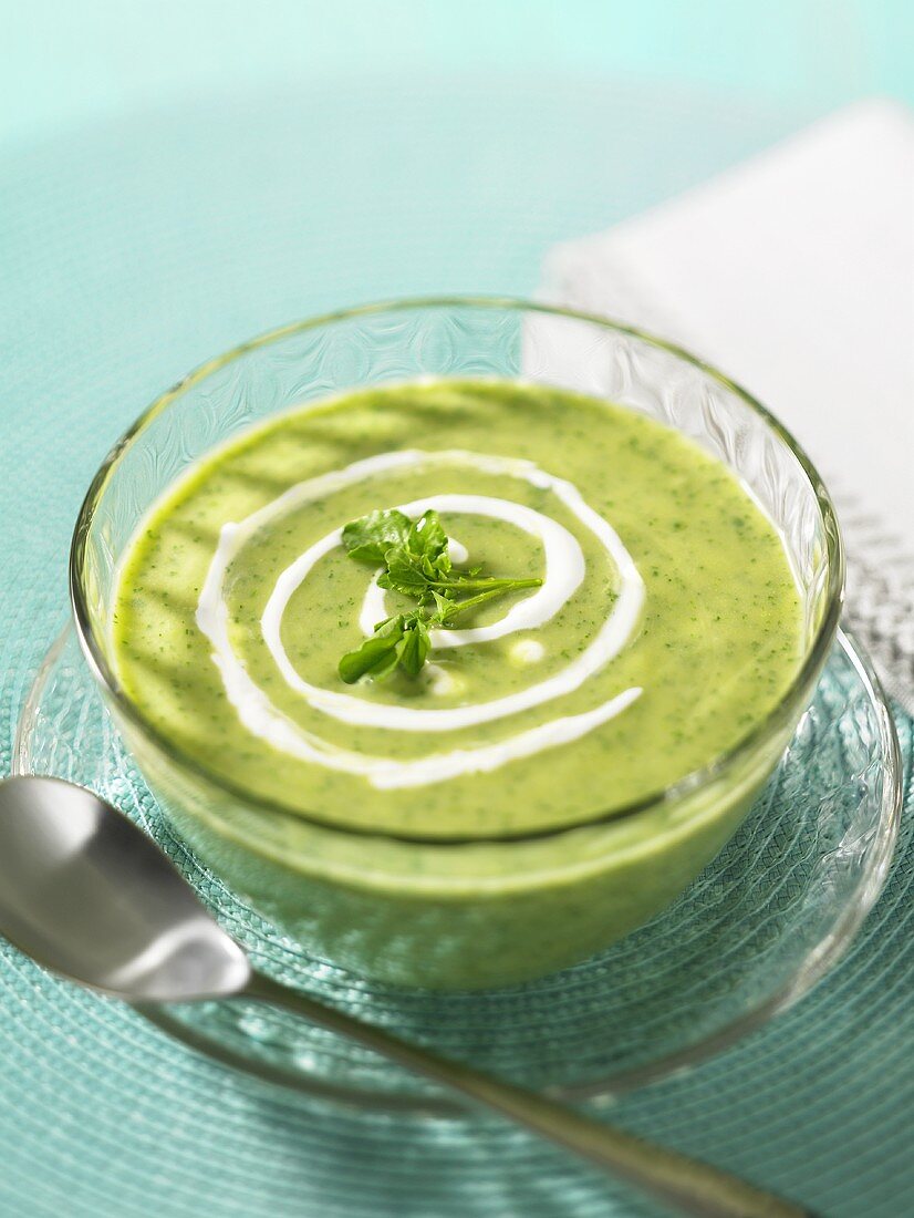 Vichyssoise (Cremesuppe mit Lauch, Zwiebel und Kartoffeln)