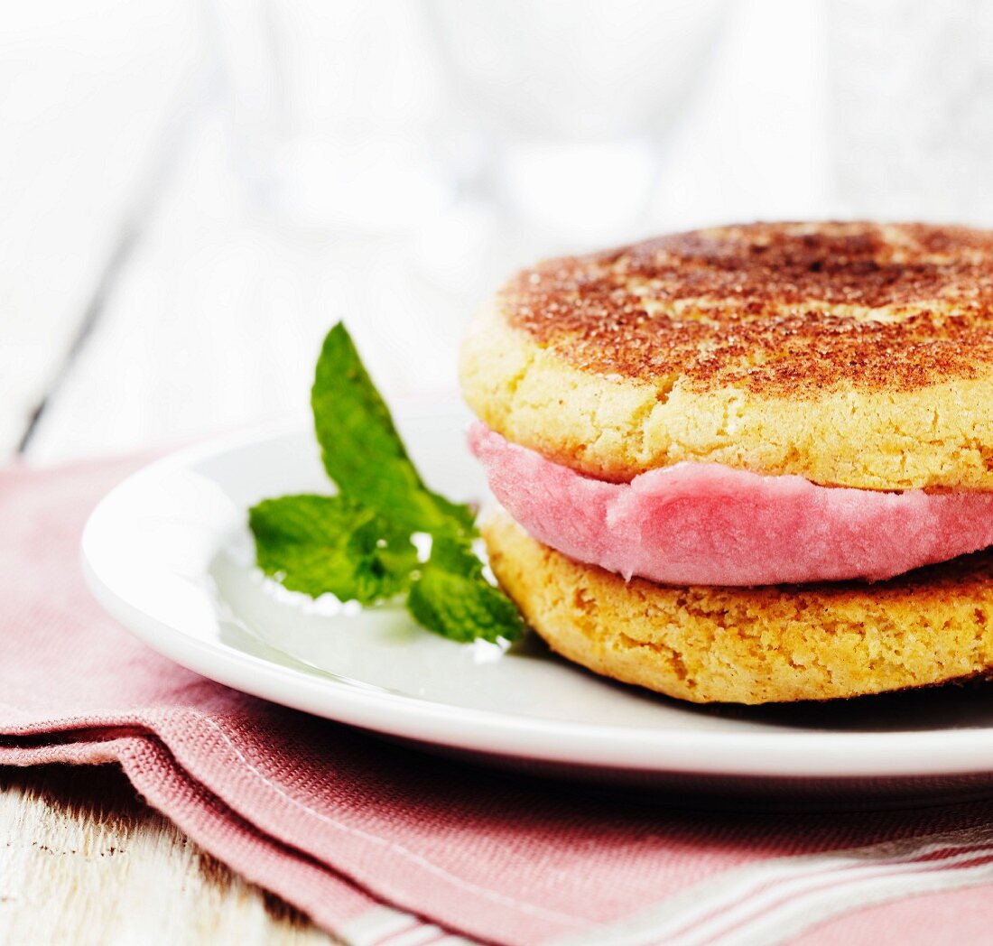 Raspberry Sorbet and Snickerdoodle Sandwich