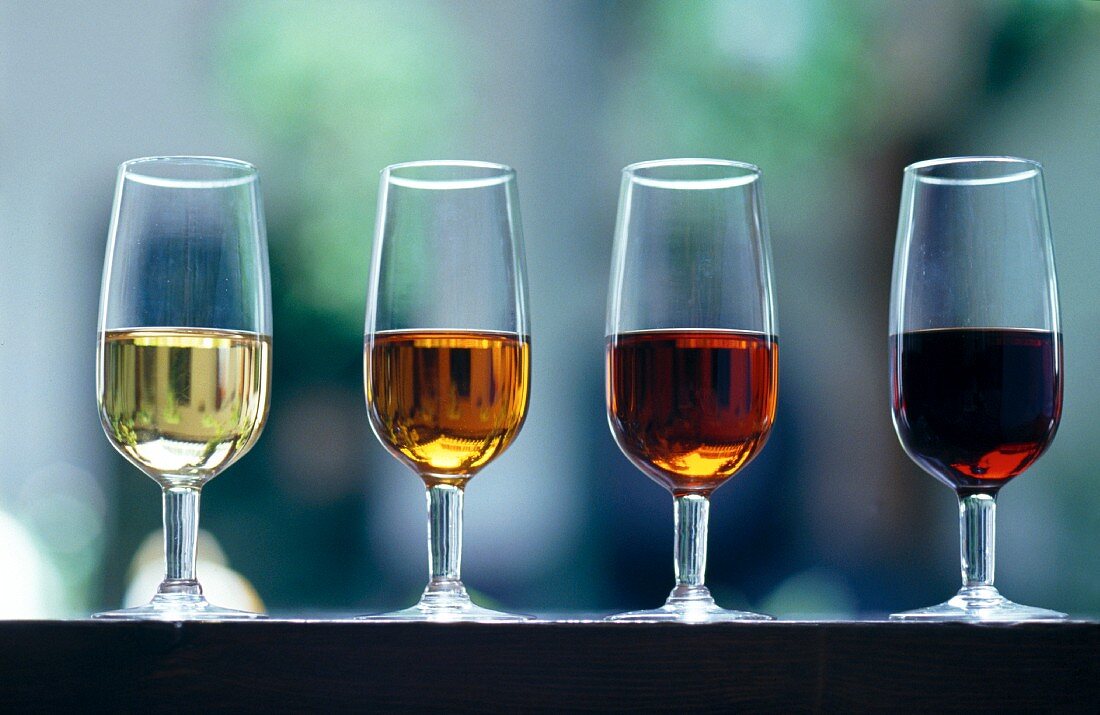 Various types of sherry sherry glasses: Fino, Oloroso, Amontillado, Pedro Ximenez (Andalusia, Spanien)