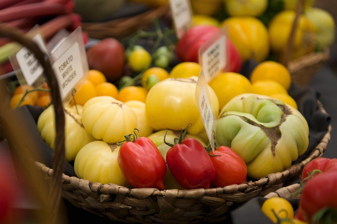 Various sorts of tomatoes in a basket on a market stand