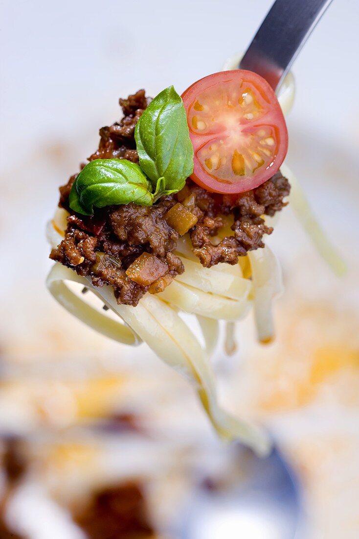 Linguine with a minced meat sauce, tomatoes and basil on a fork