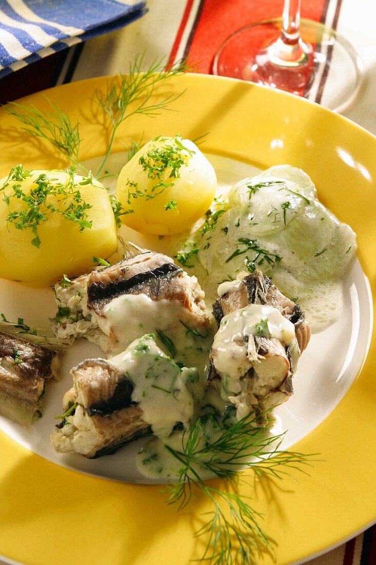 Aal grün nach Berliner Art mit Salzkartoffeln & Gurkensalat