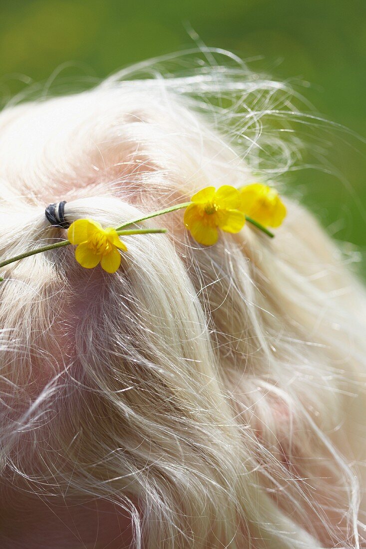 Blondes Mädchen mit Butterblumen in den Haaren